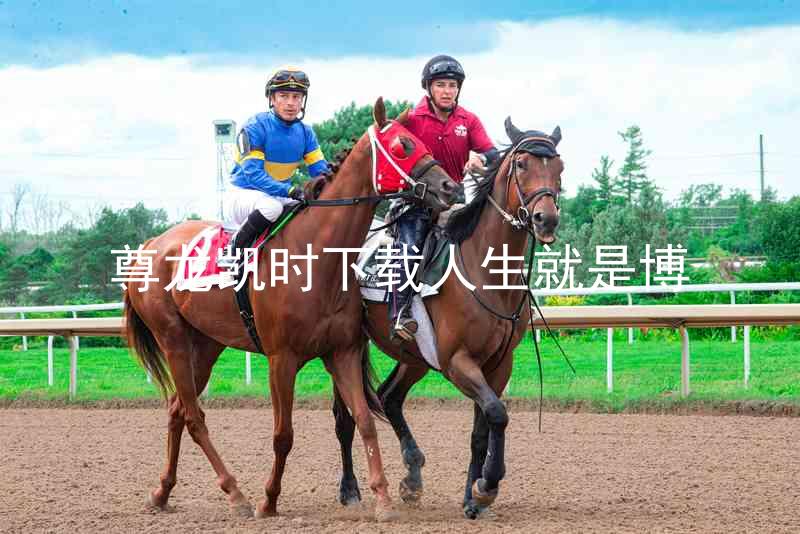 尊龙凯时下载人生就是博