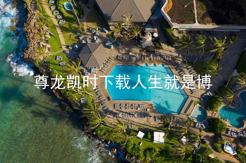尊龙凯时下载人生就是博