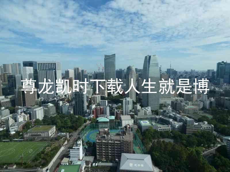 尊龙凯时下载人生就是博