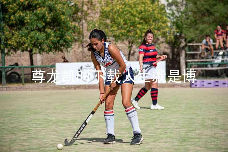 尊龙凯时下载人生就是博